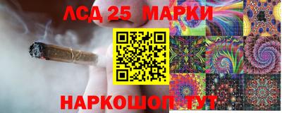 индика Донской