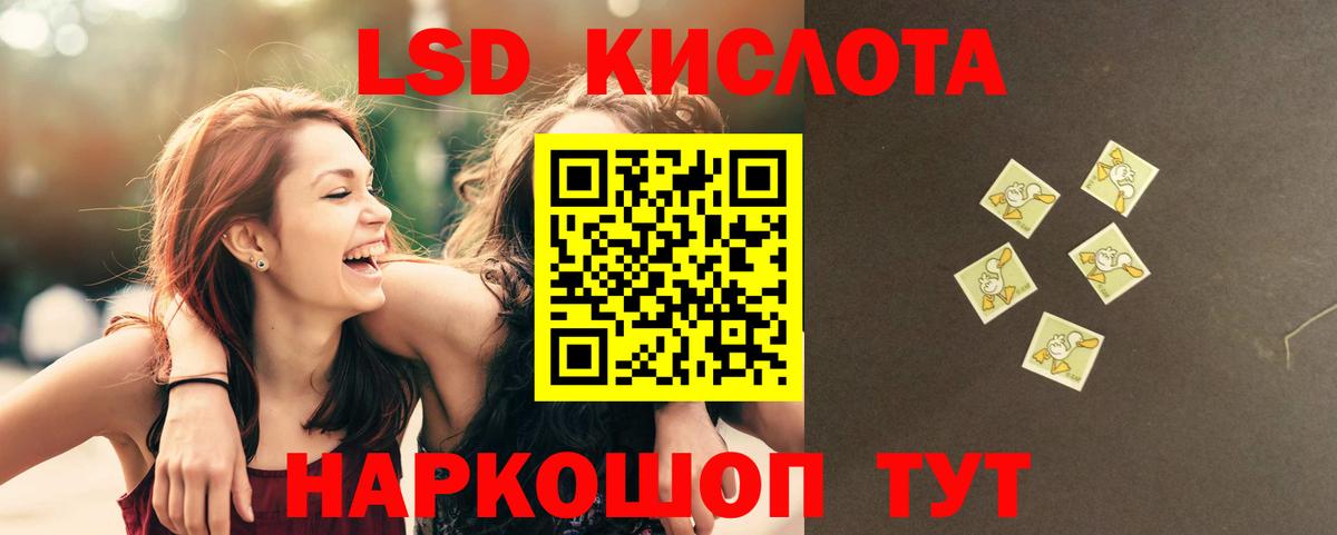 A PVP Минеральные Воды
