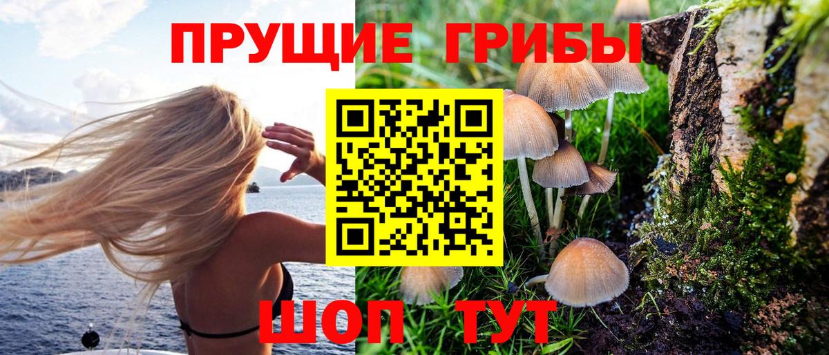 Псилоцибиновые грибы GOLDEN TEACHER  Псилоцибиновые грибы GOLDEN TEACHER  Минеральные Воды  Вход с VPN 